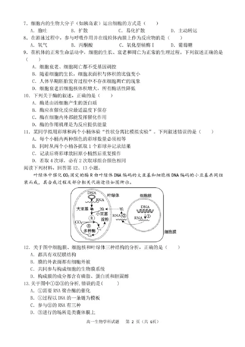 浙江省宁波市三锋联盟2024-2025学年高一下学期期末联考生物试题_2024-2025高一（7-7月题库）_2025年7月_250702浙江宁波市三锋教研联盟2024-2025学年高一下学期6月期末联考