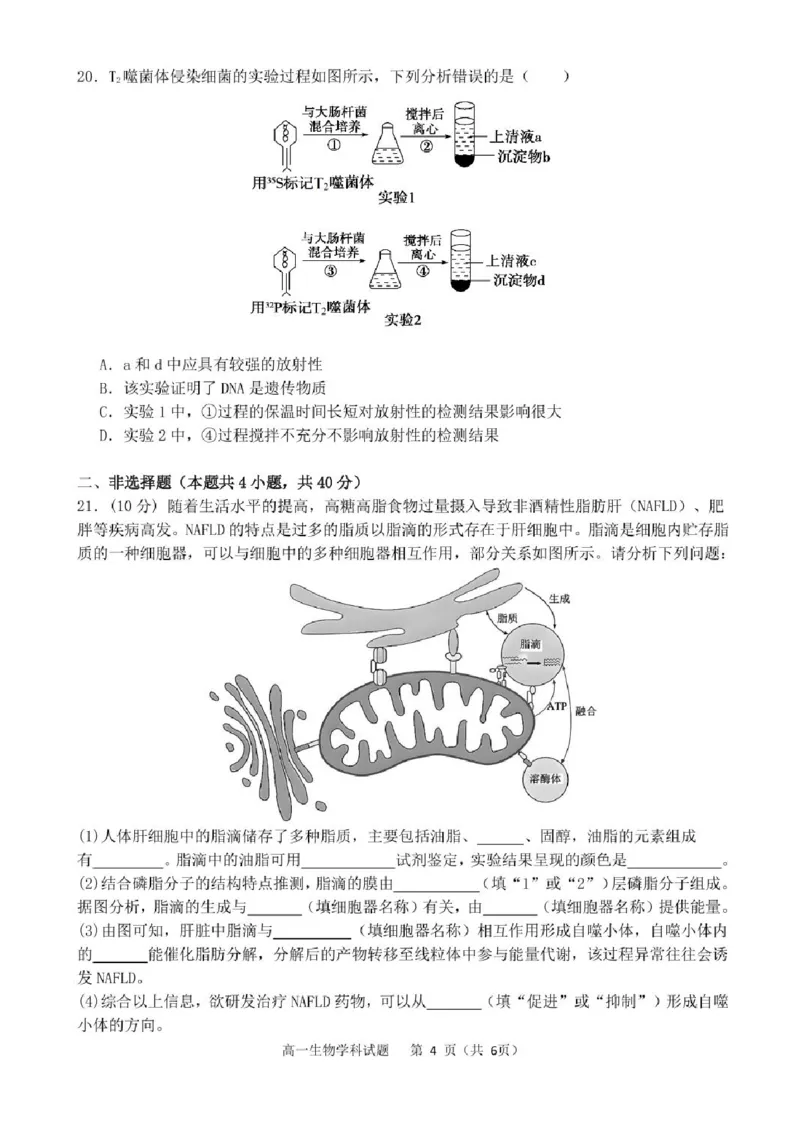 浙江省宁波市三锋联盟2024-2025学年高一下学期期末联考生物试题_2024-2025高一（7-7月题库）_2025年7月_250702浙江宁波市三锋教研联盟2024-2025学年高一下学期6月期末联考