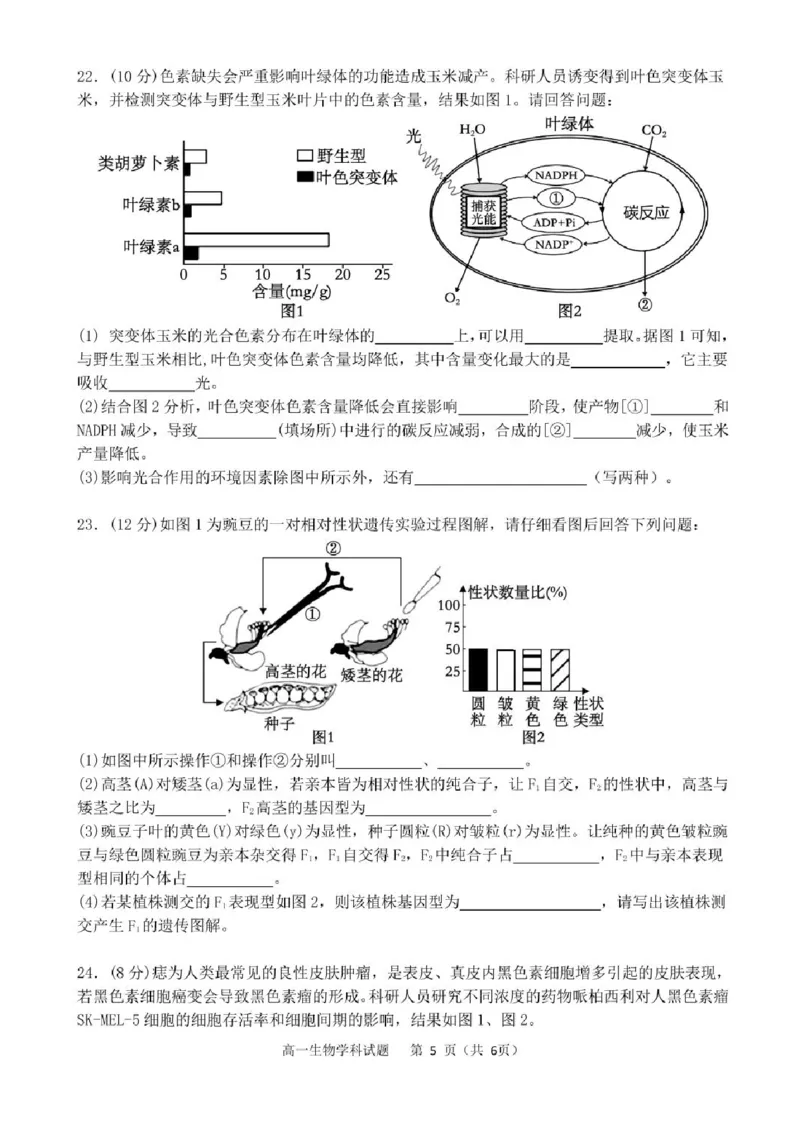 浙江省宁波市三锋联盟2024-2025学年高一下学期期末联考生物试题_2024-2025高一（7-7月题库）_2025年7月_250702浙江宁波市三锋教研联盟2024-2025学年高一下学期6月期末联考