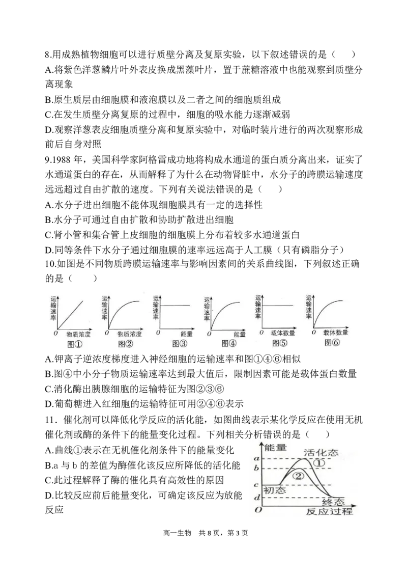 辽宁省七校协作体2024-2025学年高一上学期12月联考试题生物PDF版含答案_2024-2025高一（7-7月题库）_2025年01月试卷_0108辽宁省七校协作体2024-2025学年高一上学期12月联考试题