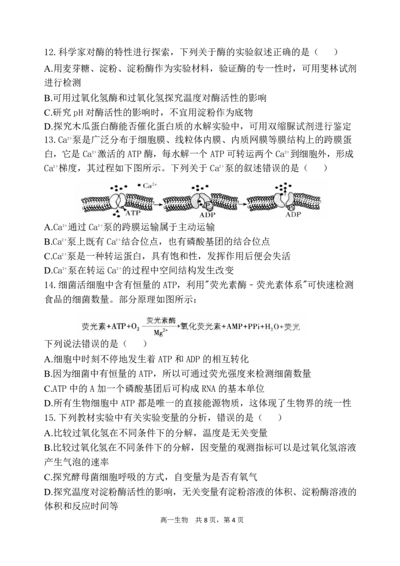 辽宁省七校协作体2024-2025学年高一上学期12月联考试题生物PDF版含答案_2024-2025高一（7-7月题库）_2025年01月试卷_0108辽宁省七校协作体2024-2025学年高一上学期12月联考试题