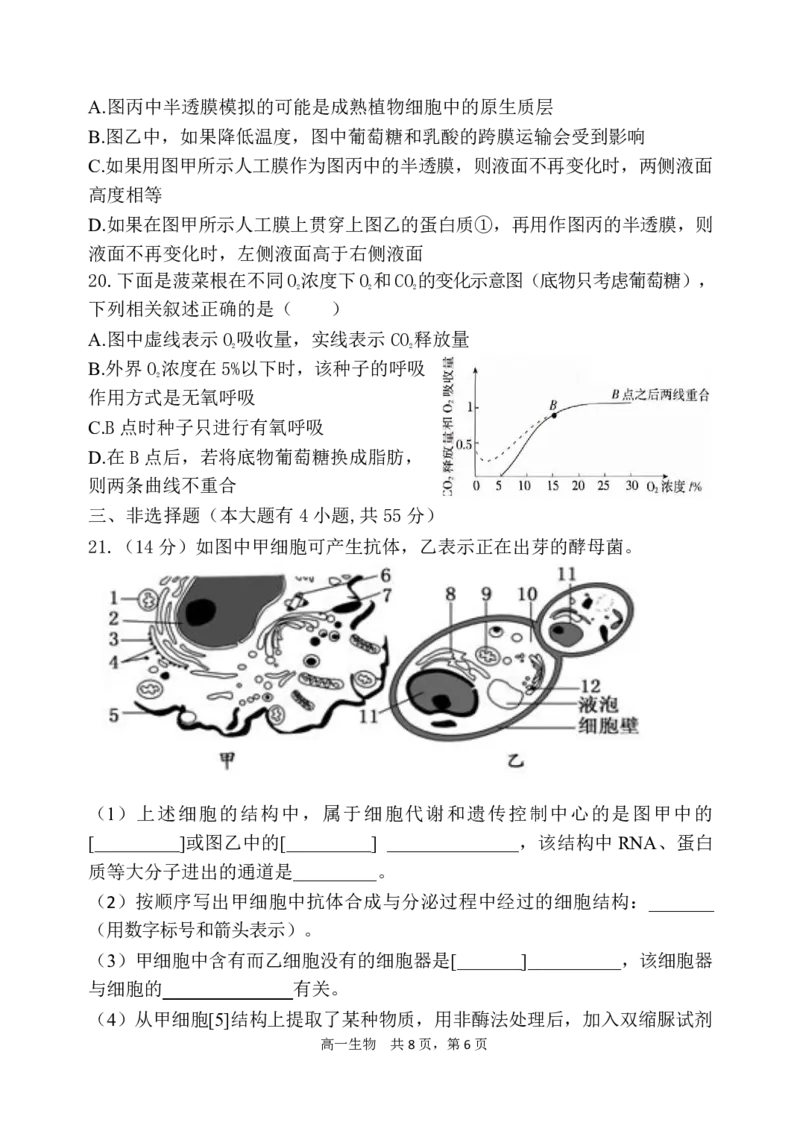 辽宁省七校协作体2024-2025学年高一上学期12月联考试题生物PDF版含答案_2024-2025高一（7-7月题库）_2025年01月试卷_0108辽宁省七校协作体2024-2025学年高一上学期12月联考试题