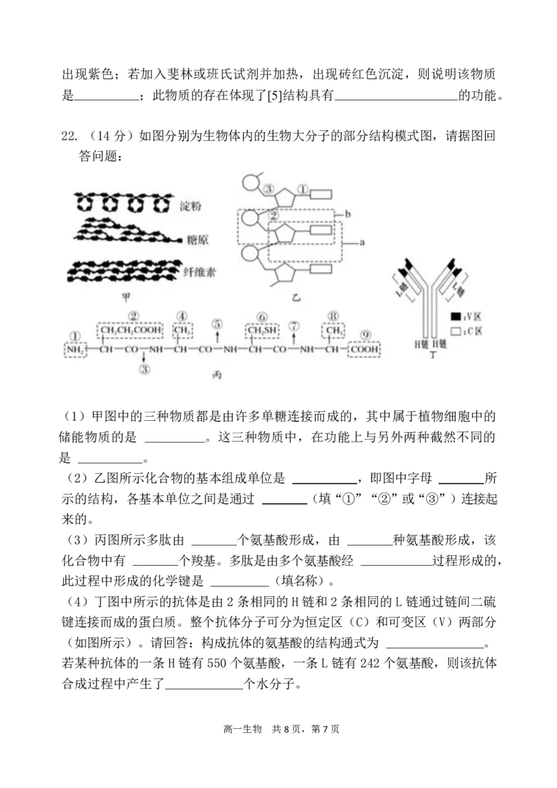 辽宁省七校协作体2024-2025学年高一上学期12月联考试题生物PDF版含答案_2024-2025高一（7-7月题库）_2025年01月试卷_0108辽宁省七校协作体2024-2025学年高一上学期12月联考试题