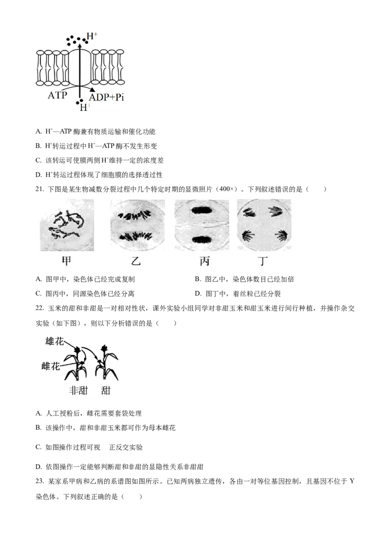 浙江省强基联盟2024-2025学年高一下学期3月月考生物试题（有答案）_2024-2025高一（7-7月题库）_2025年04月试卷_0412浙江省强基联盟2024-2025学年高一下学期3月月考
