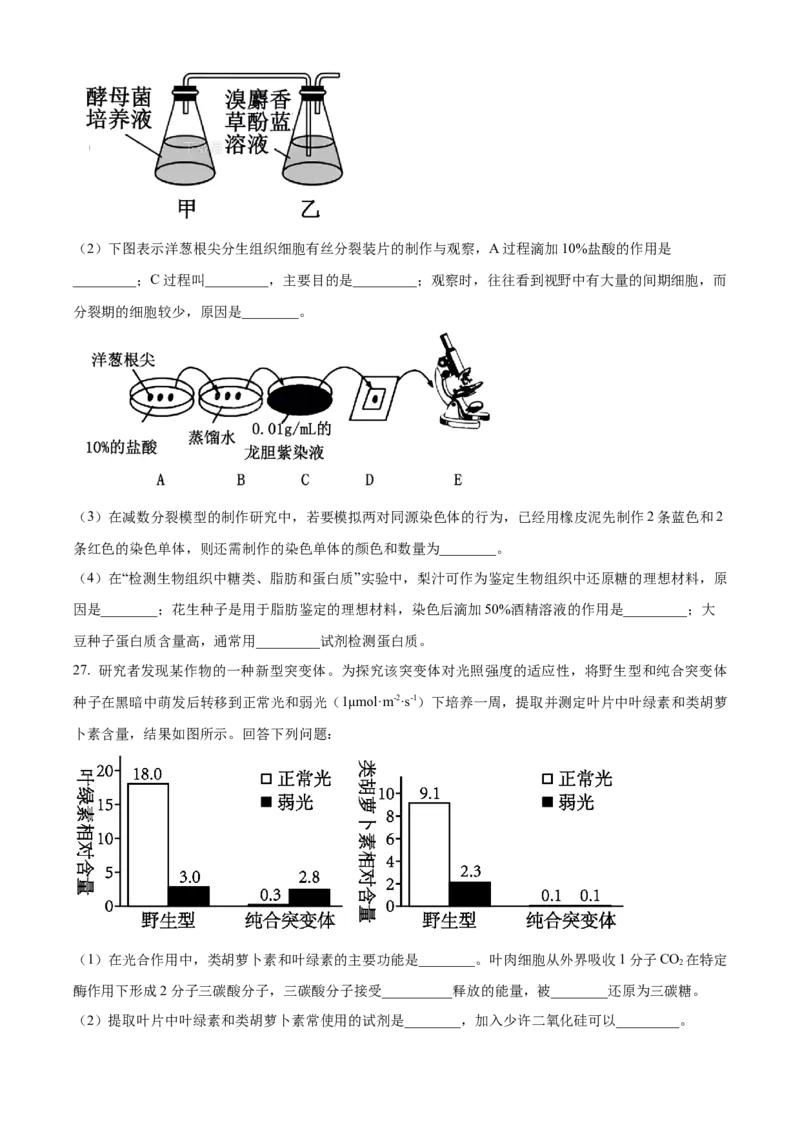 浙江省强基联盟2024-2025学年高一下学期3月月考生物试题（有答案）_2024-2025高一（7-7月题库）_2025年04月试卷_0412浙江省强基联盟2024-2025学年高一下学期3月月考