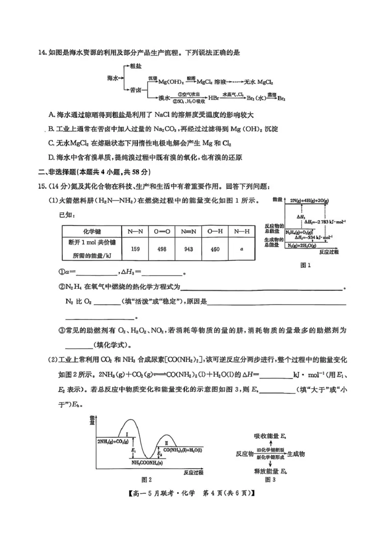 河南省洛阳市强基联盟2024-2025学年高一下学期5月月考化学试题（PDF版，含答案）_2024-2025高一（7-7月题库）_2025年6月7.10新增_0613河南省洛阳市强基联盟2024-2025学年高一下学期5月月考