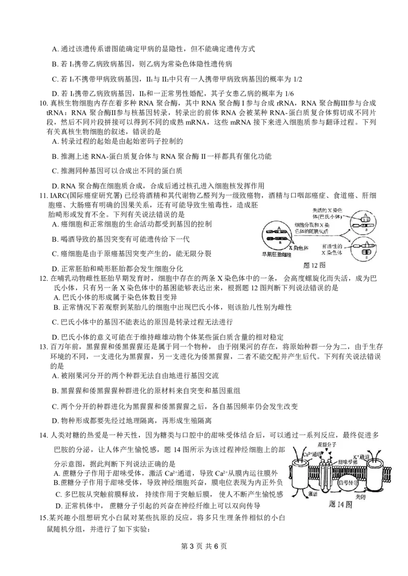康德2024年重庆市普通高中学业水平选择性考试高考模拟调研卷（一）生物试题_2024年2月_01每日更新_26号_2024届重庆康德2024年普通高等学校招生全国统一考试高考模拟调研卷（一）