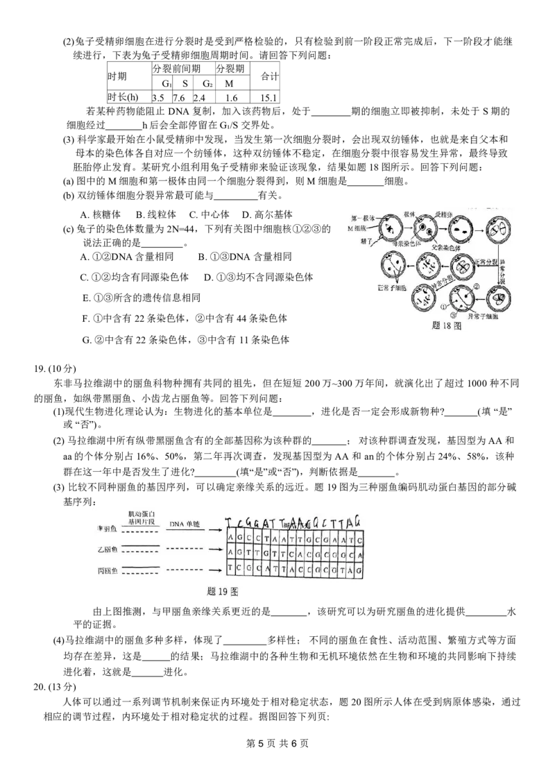 康德2024年重庆市普通高中学业水平选择性考试高考模拟调研卷（一）生物试题_2024年2月_01每日更新_26号_2024届重庆康德2024年普通高等学校招生全国统一考试高考模拟调研卷（一）