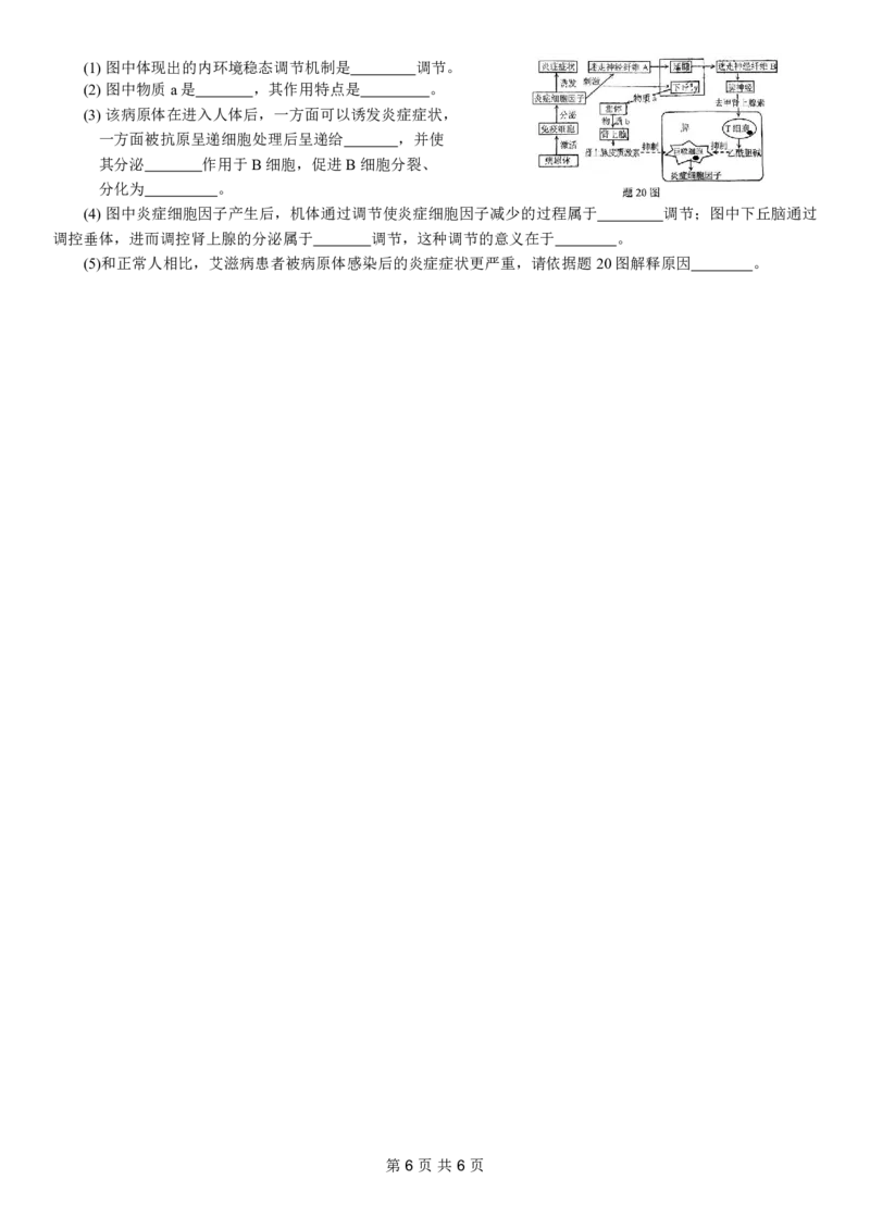 康德2024年重庆市普通高中学业水平选择性考试高考模拟调研卷（一）生物试题_2024年2月_01每日更新_26号_2024届重庆康德2024年普通高等学校招生全国统一考试高考模拟调研卷（一）