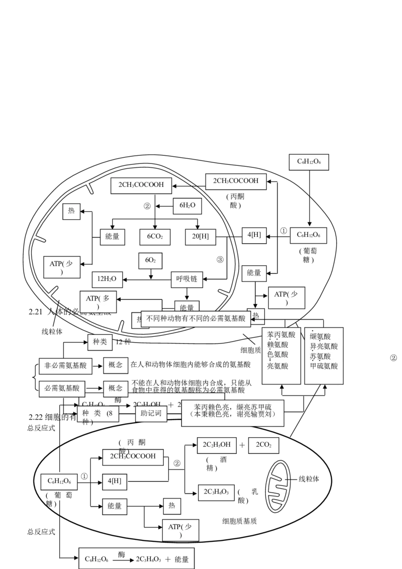 品优教学高考生物知识点总结(全)_赠送小初高学霸笔记等_小初高知识点_小初高知识点_高考生物知识点