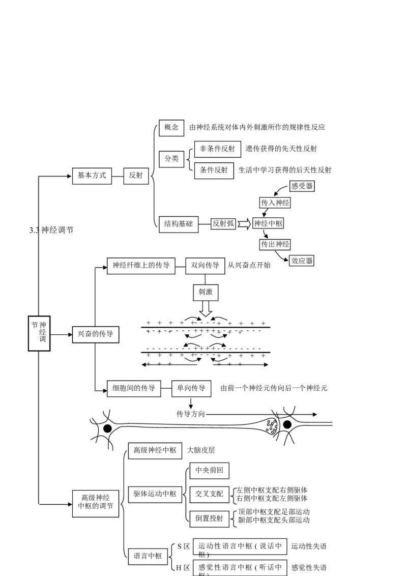 品优教学高考生物知识点总结(全)_赠送小初高学霸笔记等_小初高知识点_小初高知识点_高考生物知识点