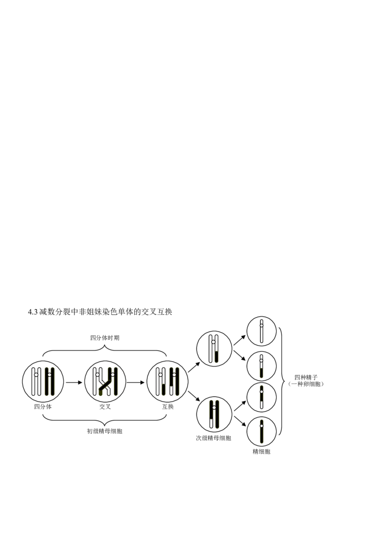 品优教学高考生物知识点总结(全)_赠送小初高学霸笔记等_小初高知识点_小初高知识点_高考生物知识点