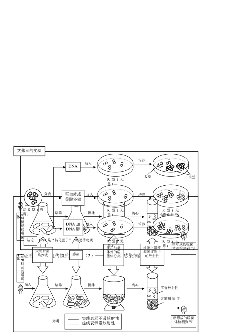 品优教学高考生物知识点总结(全)_赠送小初高学霸笔记等_小初高知识点_小初高知识点_高考生物知识点