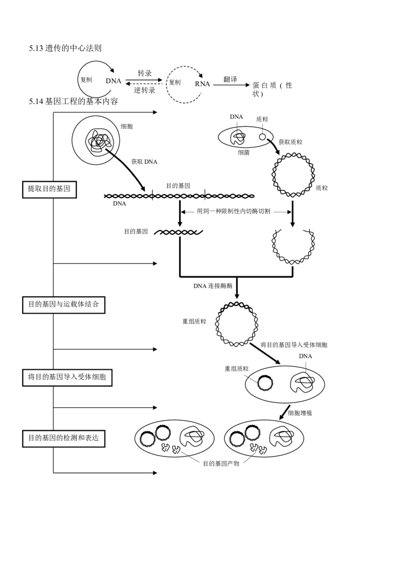 品优教学高考生物知识点总结(全)_赠送小初高学霸笔记等_小初高知识点_小初高知识点_高考生物知识点