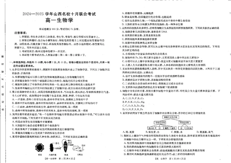 生物_2024-2025高一（7-7月题库）_2024年10月试卷_1024山西名校2024-2025学年金太阳高一十月联合考试