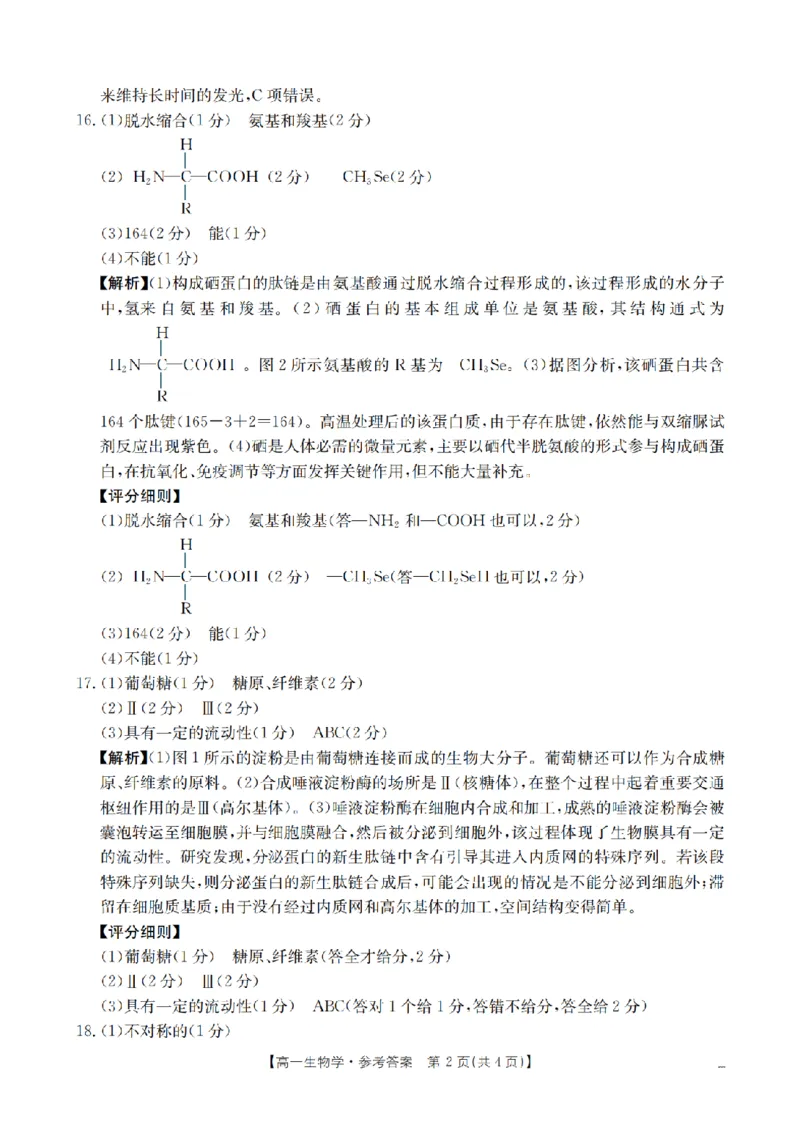 生物学答案_扫描版_2024-2025高一（7-7月题库）_2026年1月高一_260128四川省多校2025-2026学年高一上学期12月月考（全）