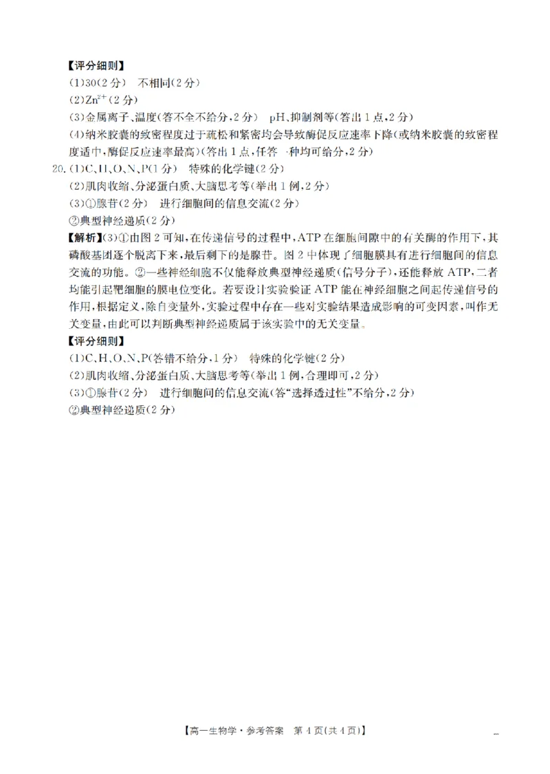 生物学答案_扫描版_2024-2025高一（7-7月题库）_2026年1月高一_260128四川省多校2025-2026学年高一上学期12月月考（全）