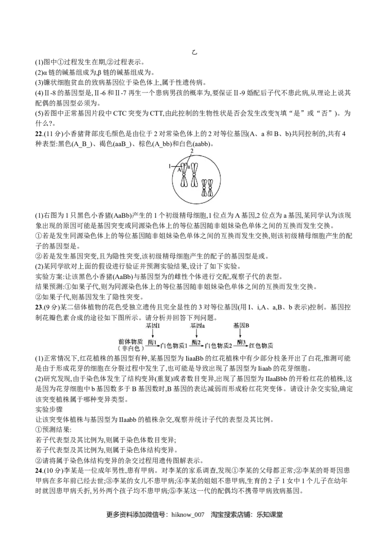 第5章基因突变及其他变异（原卷版）_E015高中全科试卷_生物试题_必修2_1.单元测试_2、单元测试2023
