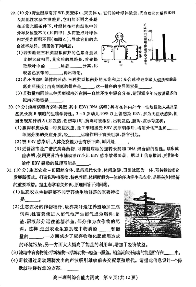 四川省乐山市高中2024届高三年级第三次调查研究考试(乐山三调)理科综合能力测试试卷(1)_2024年5月_025月合集_2024届四川省乐山市高三第三次调查研究考试(乐山三调)