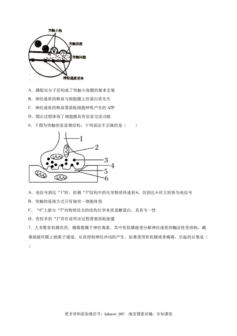第2章神经调节单元测试卷2022-2023学年人教版（2019）高中生物选择性必修1_E015高中全科试卷_生物试题_选修1_1.单元测试_2.单元测试（第二套）_第二章