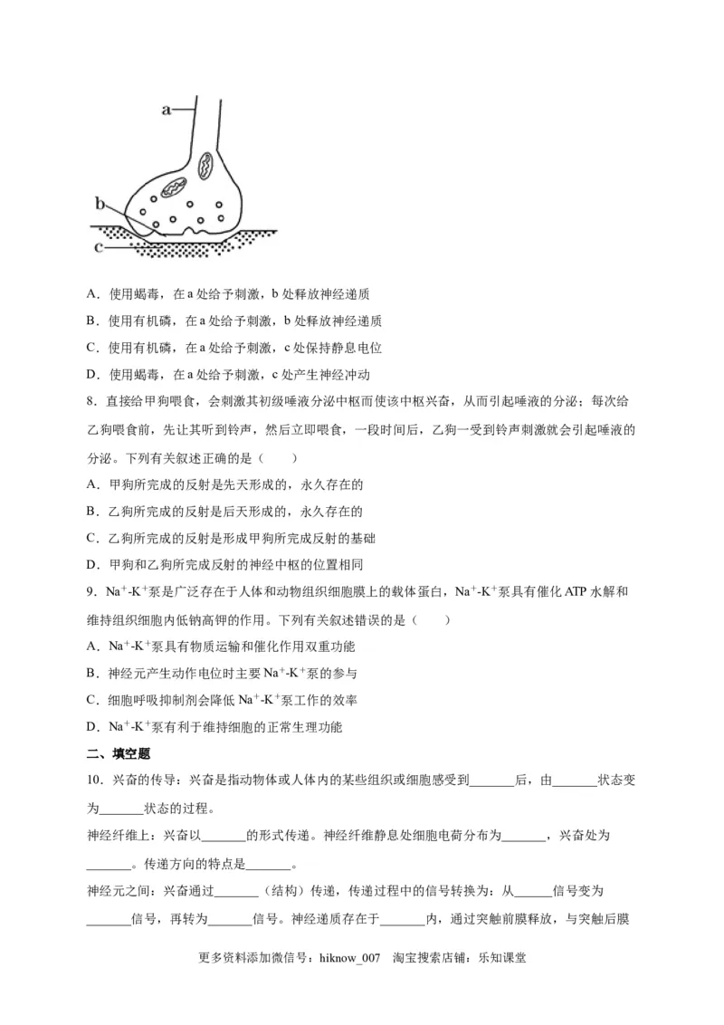 第2章神经调节单元测试卷2022-2023学年人教版（2019）高中生物选择性必修1_E015高中全科试卷_生物试题_选修1_1.单元测试_2.单元测试（第二套）_第二章