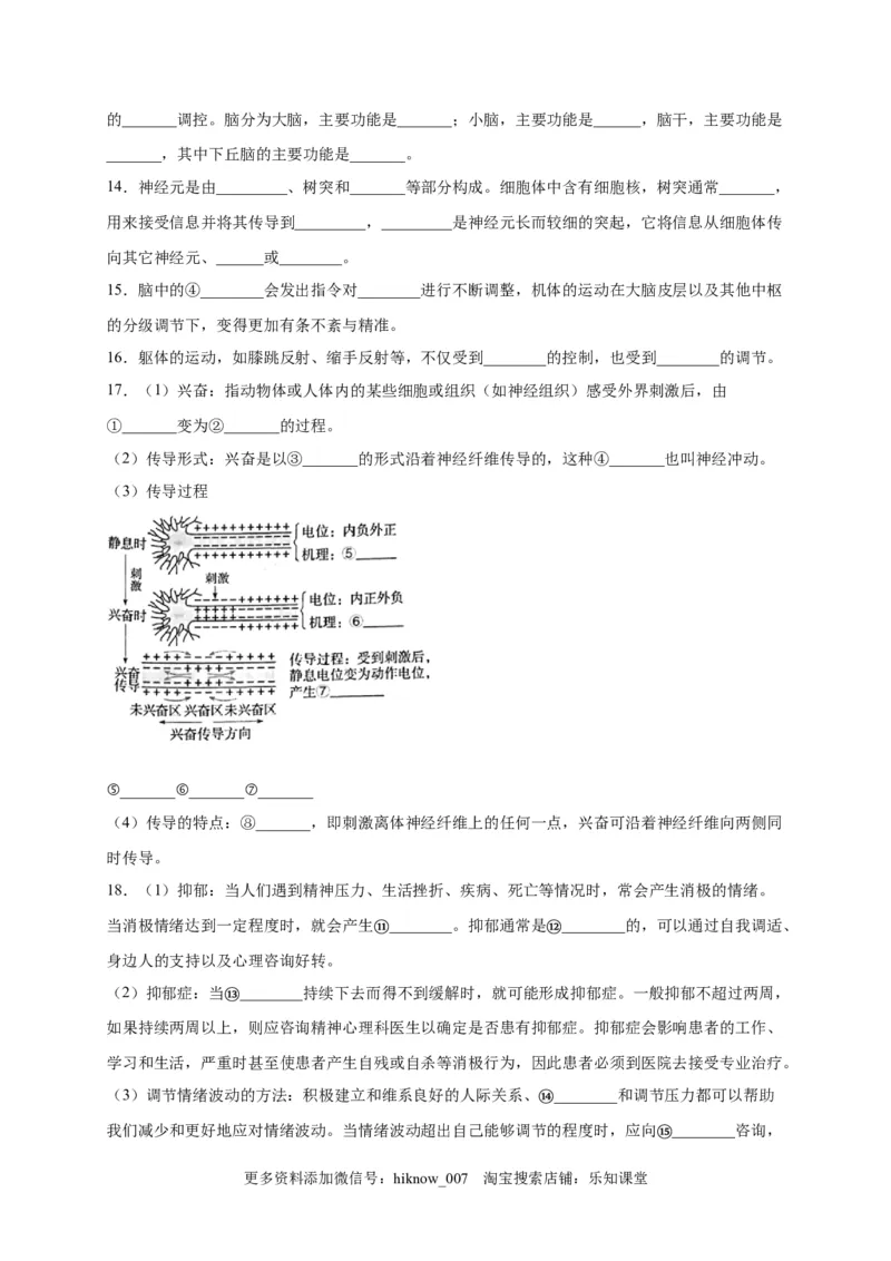 第2章神经调节单元测试卷2022-2023学年人教版（2019）高中生物选择性必修1_E015高中全科试卷_生物试题_选修1_1.单元测试_2.单元测试（第二套）_第二章