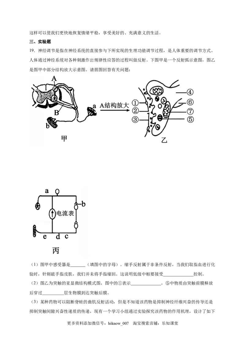 第2章神经调节单元测试卷2022-2023学年人教版（2019）高中生物选择性必修1_E015高中全科试卷_生物试题_选修1_1.单元测试_2.单元测试（第二套）_第二章