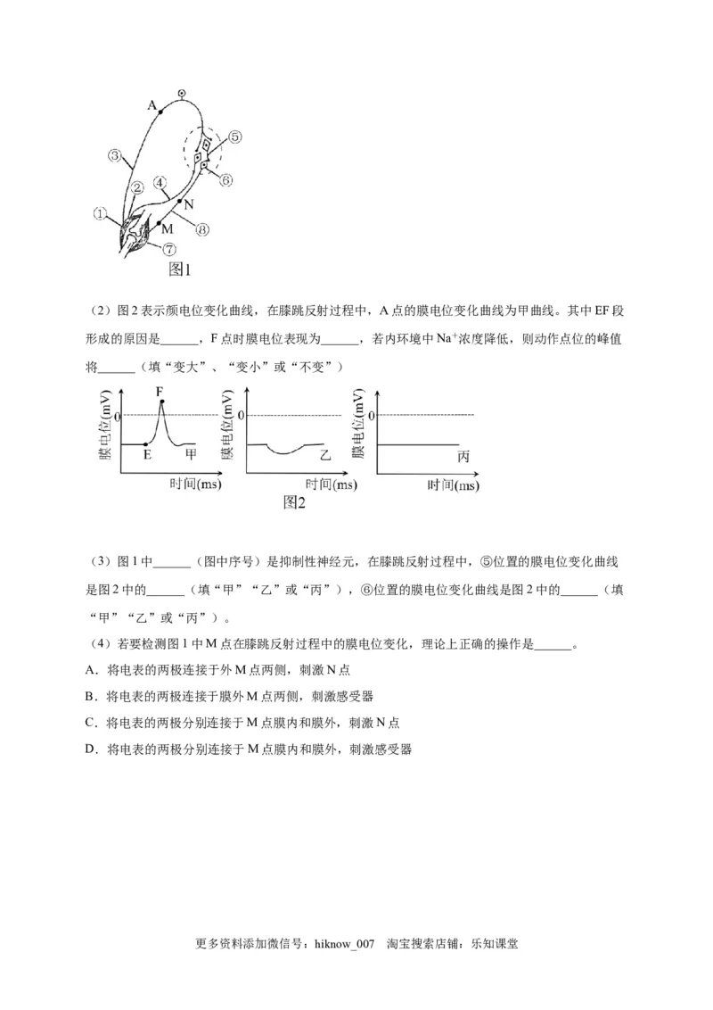 第2章神经调节单元测试卷2022-2023学年人教版（2019）高中生物选择性必修1_E015高中全科试卷_生物试题_选修1_1.单元测试_2.单元测试（第二套）_第二章