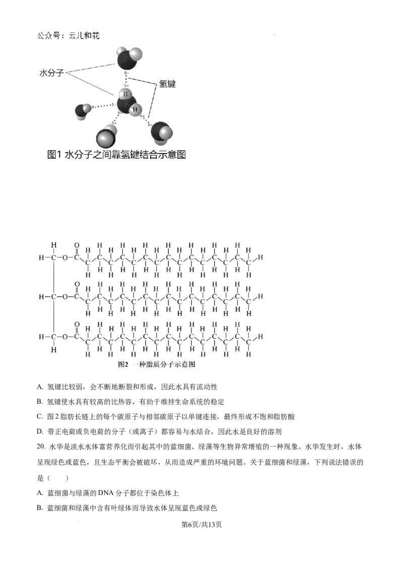河南省创新发展联盟2024-2025学年高一上学期9月月考生物试题_2024-2025高一（7-7月题库）_2024年10月试卷_1004河南省创新发展联盟2024-2025学年高一上学期9月月考