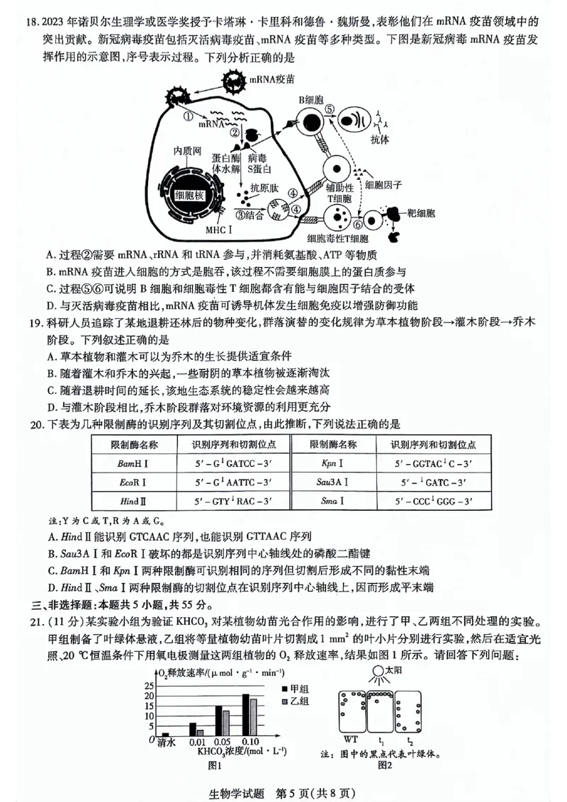 山东省齐鲁名校联盟2023-2024学年高三下学期开学质量检测生物(1)_2024年2月_022月合集_2024届天一大联考山东省齐鲁名校联盟高三下学期级开学质量检测