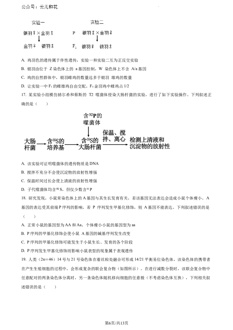 河南省新未来2023-2024学年高一下学期7月期末联考生物试题_2024-2025高一（7-7月题库）_2024年8月试卷_0802河南省新未来2023-2024学年高一下学期7月期末联考