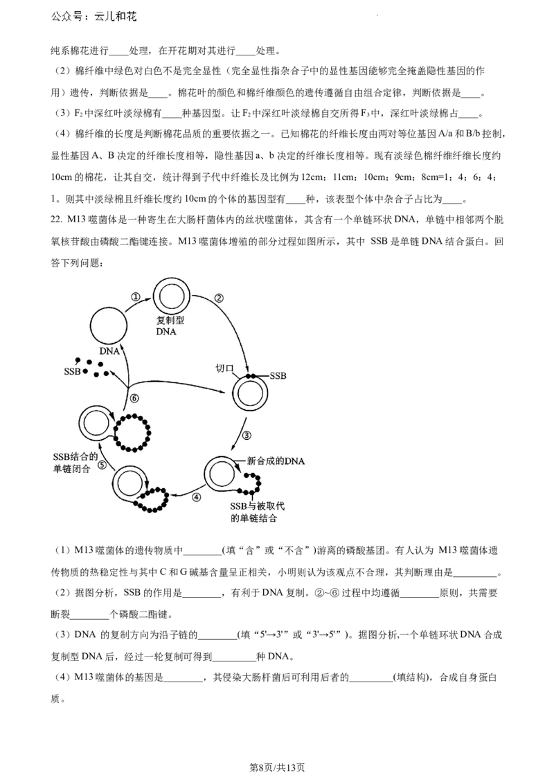 河南省新未来2023-2024学年高一下学期7月期末联考生物试题_2024-2025高一（7-7月题库）_2024年8月试卷_0802河南省新未来2023-2024学年高一下学期7月期末联考