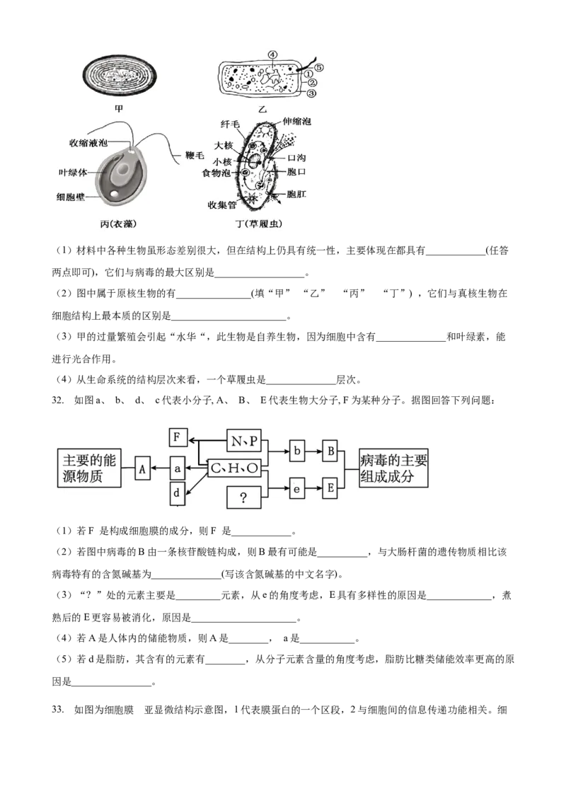 重庆市第八中学2024-2025学年高一上学期期中考试生物Word版含解析_2024-2025高一（7-7月题库）_2024年11月试卷_1121重庆市第八中学2024-2025学年高一上学期期中考试