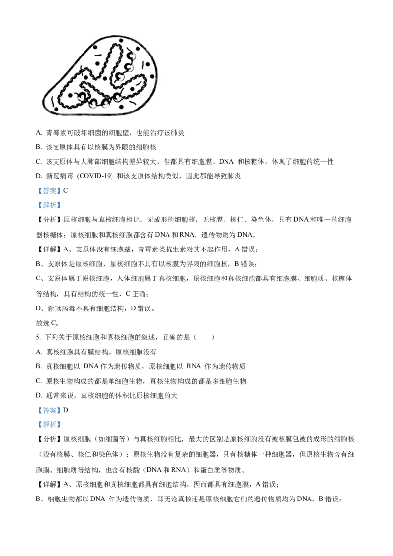 重庆市第八中学2024-2025学年高一上学期期中考试生物Word版含解析_2024-2025高一（7-7月题库）_2024年11月试卷_1121重庆市第八中学2024-2025学年高一上学期期中考试