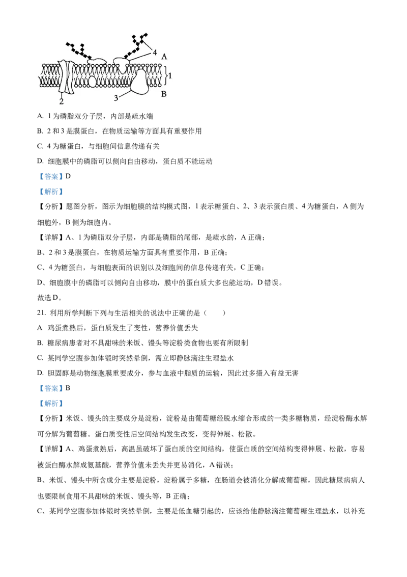 重庆市第八中学2024-2025学年高一上学期期中考试生物Word版含解析_2024-2025高一（7-7月题库）_2024年11月试卷_1121重庆市第八中学2024-2025学年高一上学期期中考试