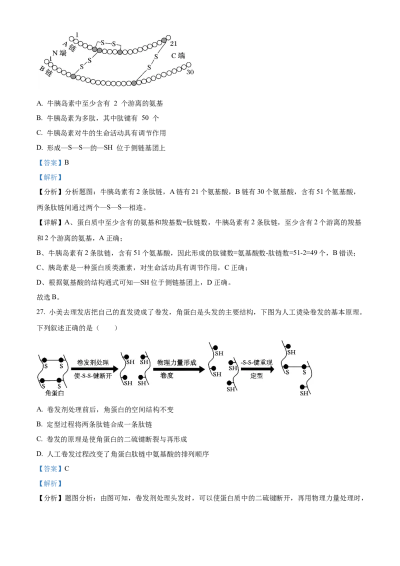 重庆市第八中学2024-2025学年高一上学期期中考试生物Word版含解析_2024-2025高一（7-7月题库）_2024年11月试卷_1121重庆市第八中学2024-2025学年高一上学期期中考试