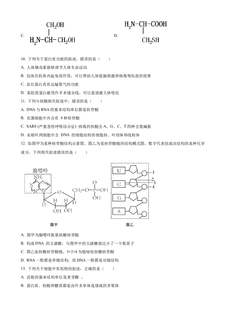 重庆市第八中学2024-2025学年高一上学期期中考试生物Word版含解析_2024-2025高一（7-7月题库）_2024年11月试卷_1121重庆市第八中学2024-2025学年高一上学期期中考试