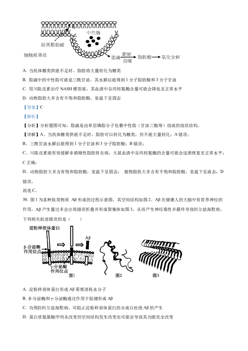 重庆市第八中学2024-2025学年高一上学期期中考试生物Word版含解析_2024-2025高一（7-7月题库）_2024年11月试卷_1121重庆市第八中学2024-2025学年高一上学期期中考试