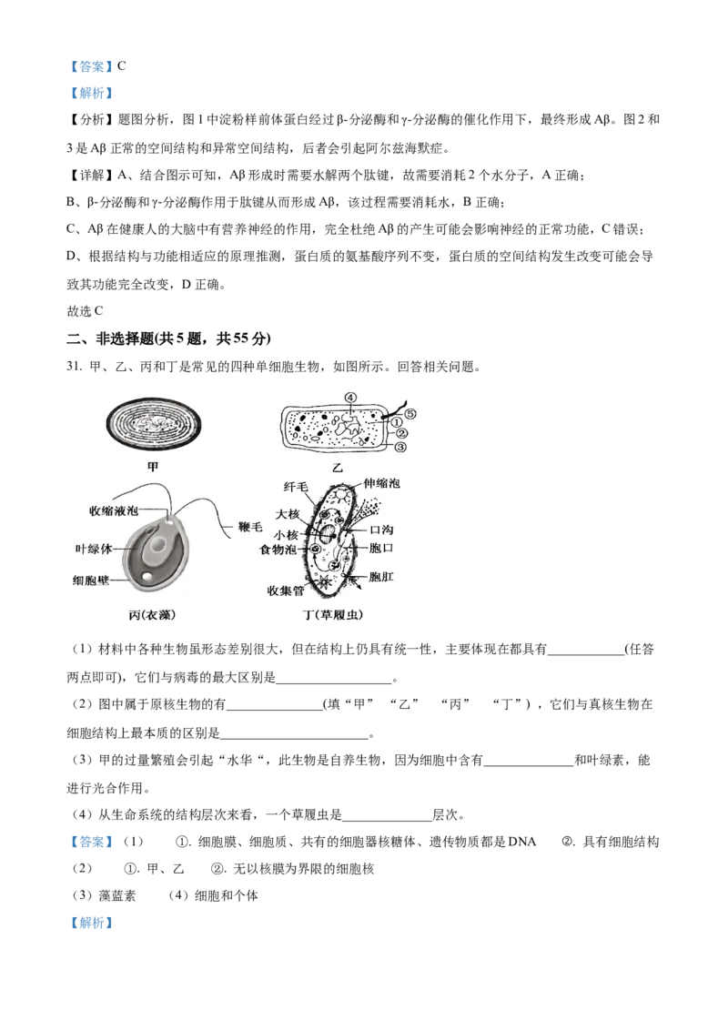 重庆市第八中学2024-2025学年高一上学期期中考试生物Word版含解析_2024-2025高一（7-7月题库）_2024年11月试卷_1121重庆市第八中学2024-2025学年高一上学期期中考试