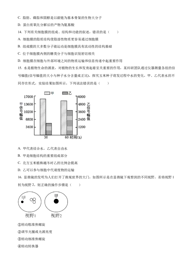 重庆市第八中学2024-2025学年高一上学期期中考试生物Word版含解析_2024-2025高一（7-7月题库）_2024年11月试卷_1121重庆市第八中学2024-2025学年高一上学期期中考试