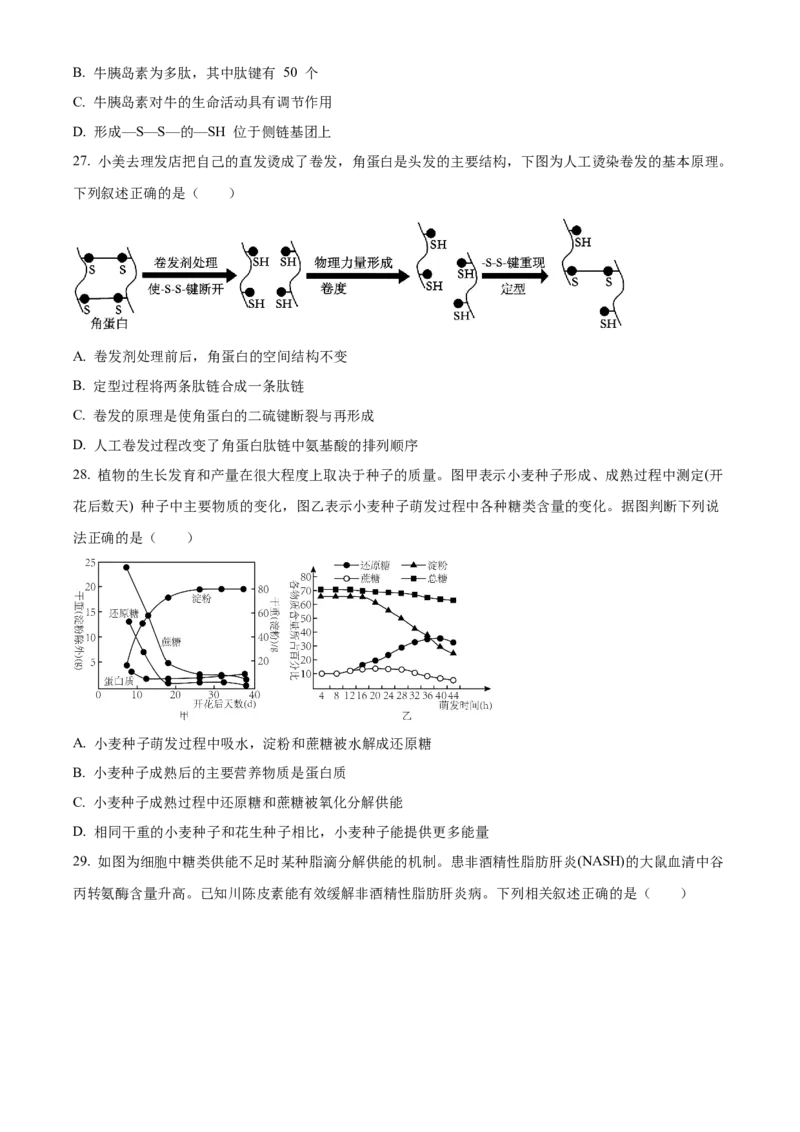 重庆市第八中学2024-2025学年高一上学期期中考试生物Word版含解析_2024-2025高一（7-7月题库）_2024年11月试卷_1121重庆市第八中学2024-2025学年高一上学期期中考试