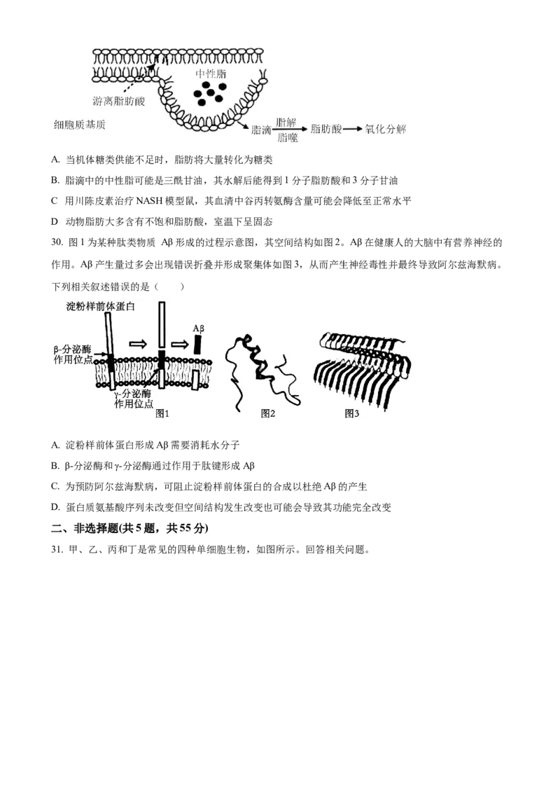 重庆市第八中学2024-2025学年高一上学期期中考试生物Word版含解析_2024-2025高一（7-7月题库）_2024年11月试卷_1121重庆市第八中学2024-2025学年高一上学期期中考试