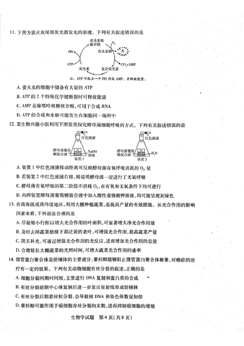 河南省周口市2024-2025学年高一上学期1月期末考试生物PDF版含解析_2024-2025高一（7-7月题库）_2025年02月试卷_0228河南省周口市2024-2025学年高一上学期1月期末考试