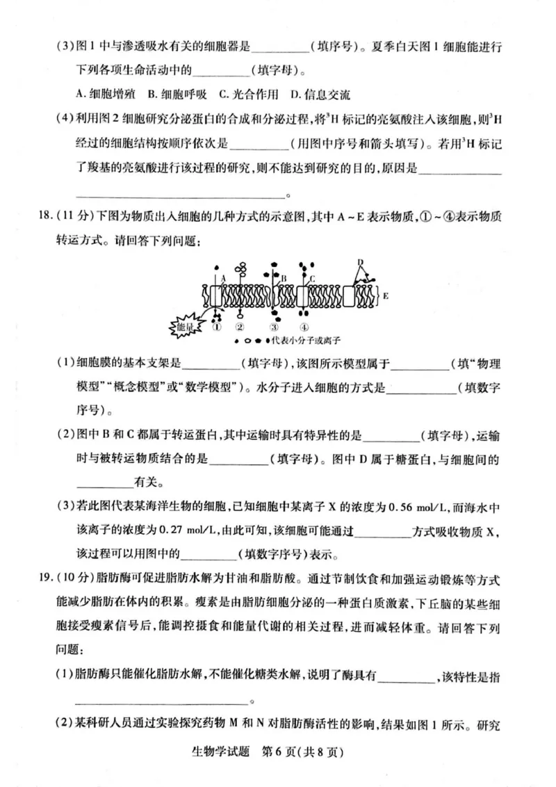 河南省周口市2024-2025学年高一上学期1月期末考试生物PDF版含解析_2024-2025高一（7-7月题库）_2025年02月试卷_0228河南省周口市2024-2025学年高一上学期1月期末考试