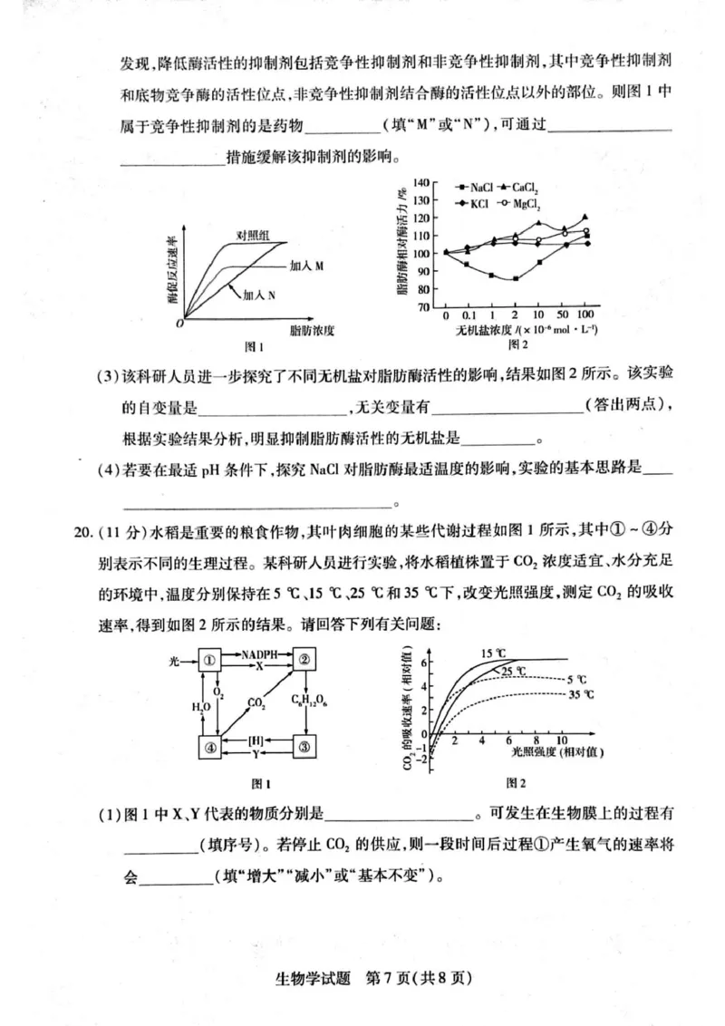 河南省周口市2024-2025学年高一上学期1月期末考试生物PDF版含解析_2024-2025高一（7-7月题库）_2025年02月试卷_0228河南省周口市2024-2025学年高一上学期1月期末考试