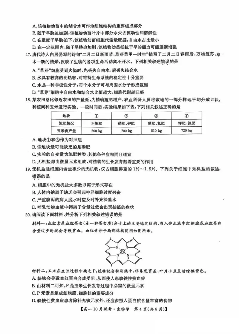 生物-河南洛阳九师联盟2024-2025学年高一上学期10月联考(1)_2024-2025高一（7-7月题库）_2024年10月试卷_1022河南洛阳九师联盟2024-2025学年高一上学期10月联考