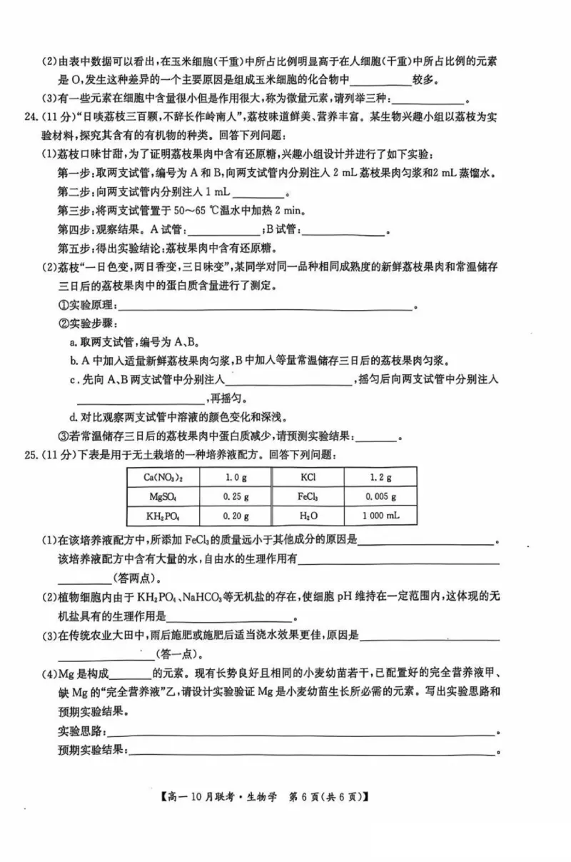 生物-河南洛阳九师联盟2024-2025学年高一上学期10月联考(1)_2024-2025高一（7-7月题库）_2024年10月试卷_1022河南洛阳九师联盟2024-2025学年高一上学期10月联考