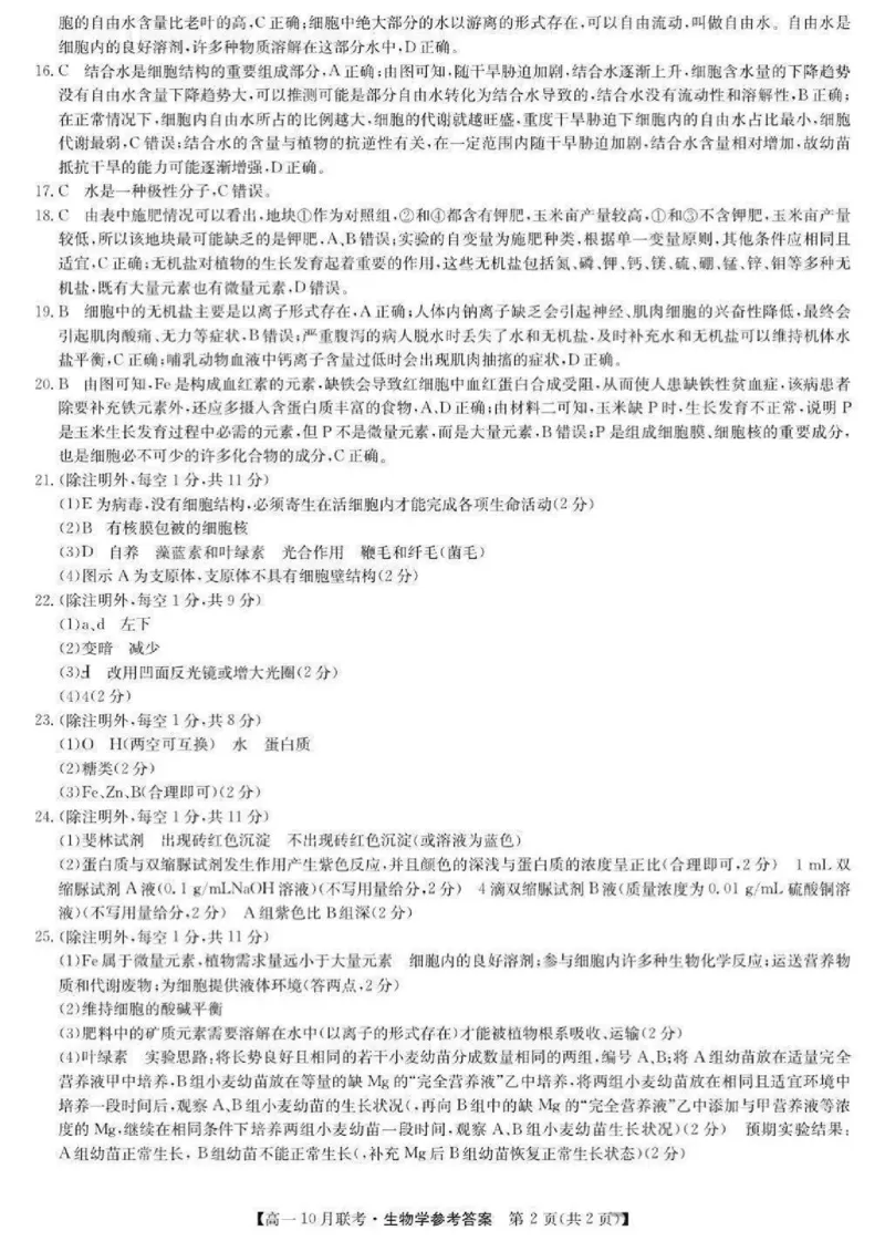 生物-河南洛阳九师联盟2024-2025学年高一上学期10月联考(1)_2024-2025高一（7-7月题库）_2024年10月试卷_1022河南洛阳九师联盟2024-2025学年高一上学期10月联考
