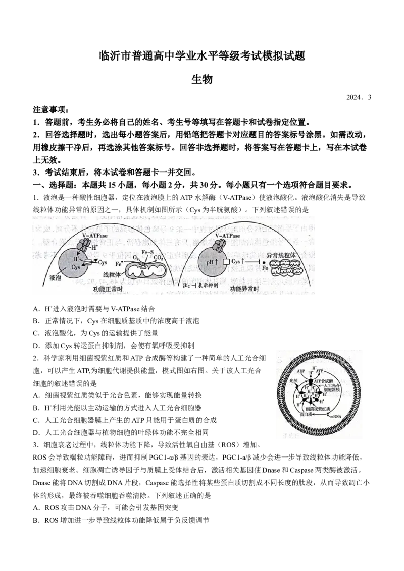 山东省临沂市2024届高三下学期3月一模考试生物试题(无答案)(1)_2024年3月_013月合集_2024届山东省临沂市高三下学期3月一模考试