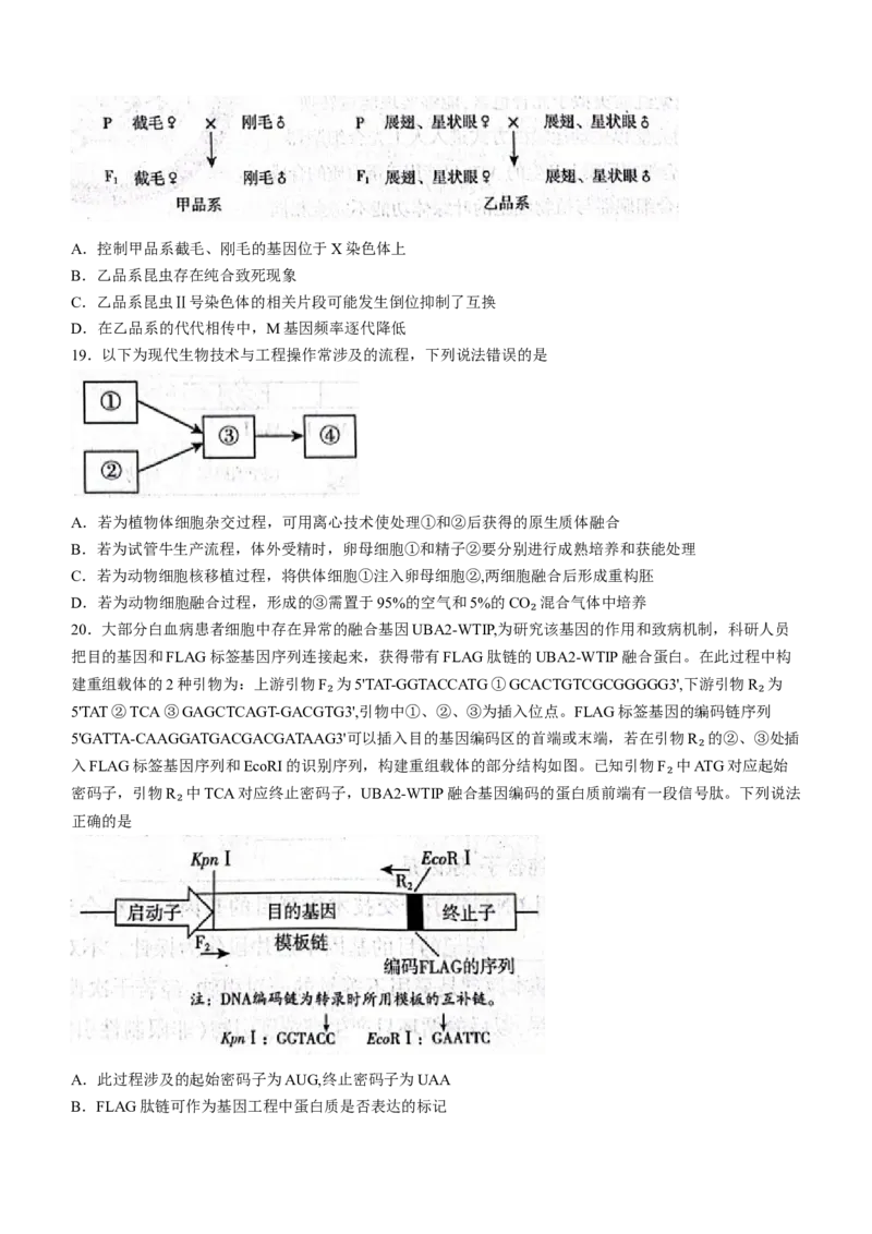 山东省临沂市2024届高三下学期3月一模考试生物试题(无答案)(1)_2024年3月_013月合集_2024届山东省临沂市高三下学期3月一模考试